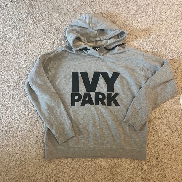 Ivy Park Gray Stacked Logo Hoodie Size Small - Picture 1 of 6